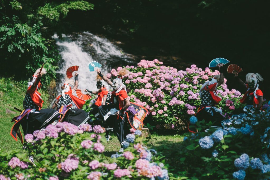 あじさい, 鬼剣舞, 黒岩鬼剣舞, 親水公園お滝さん の写真