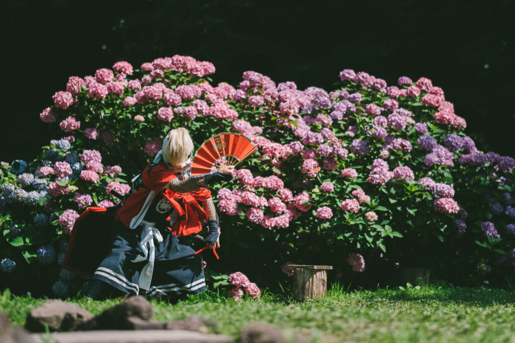 あじさい, 鬼剣舞, 黒岩鬼剣舞, 親水公園お滝さん の写真