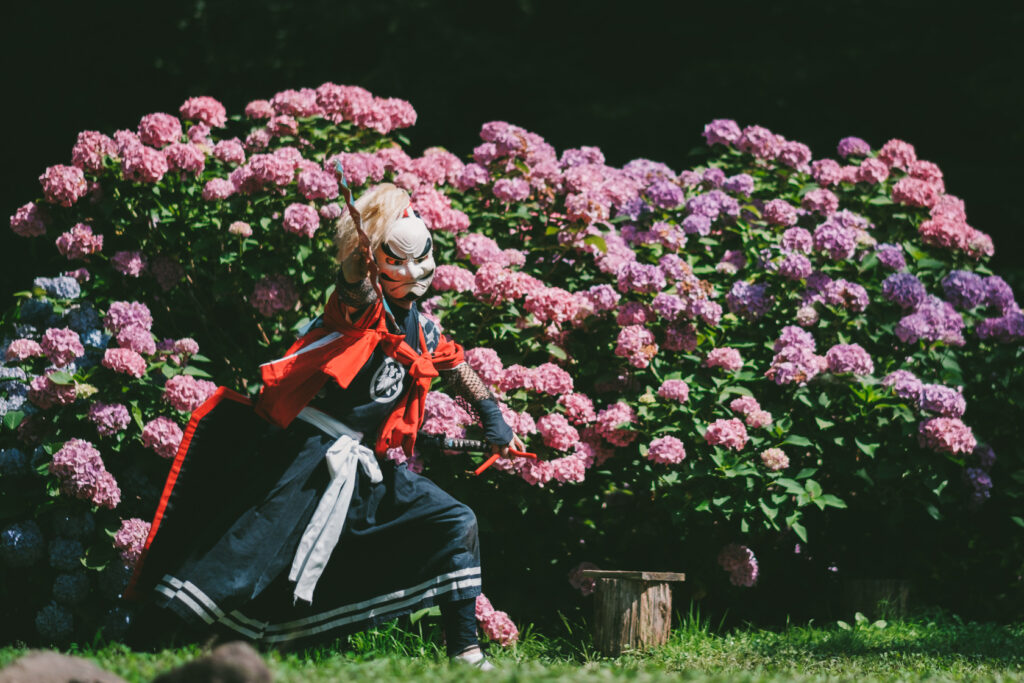 あじさい, 鬼剣舞, 黒岩鬼剣舞, 親水公園お滝さん の写真