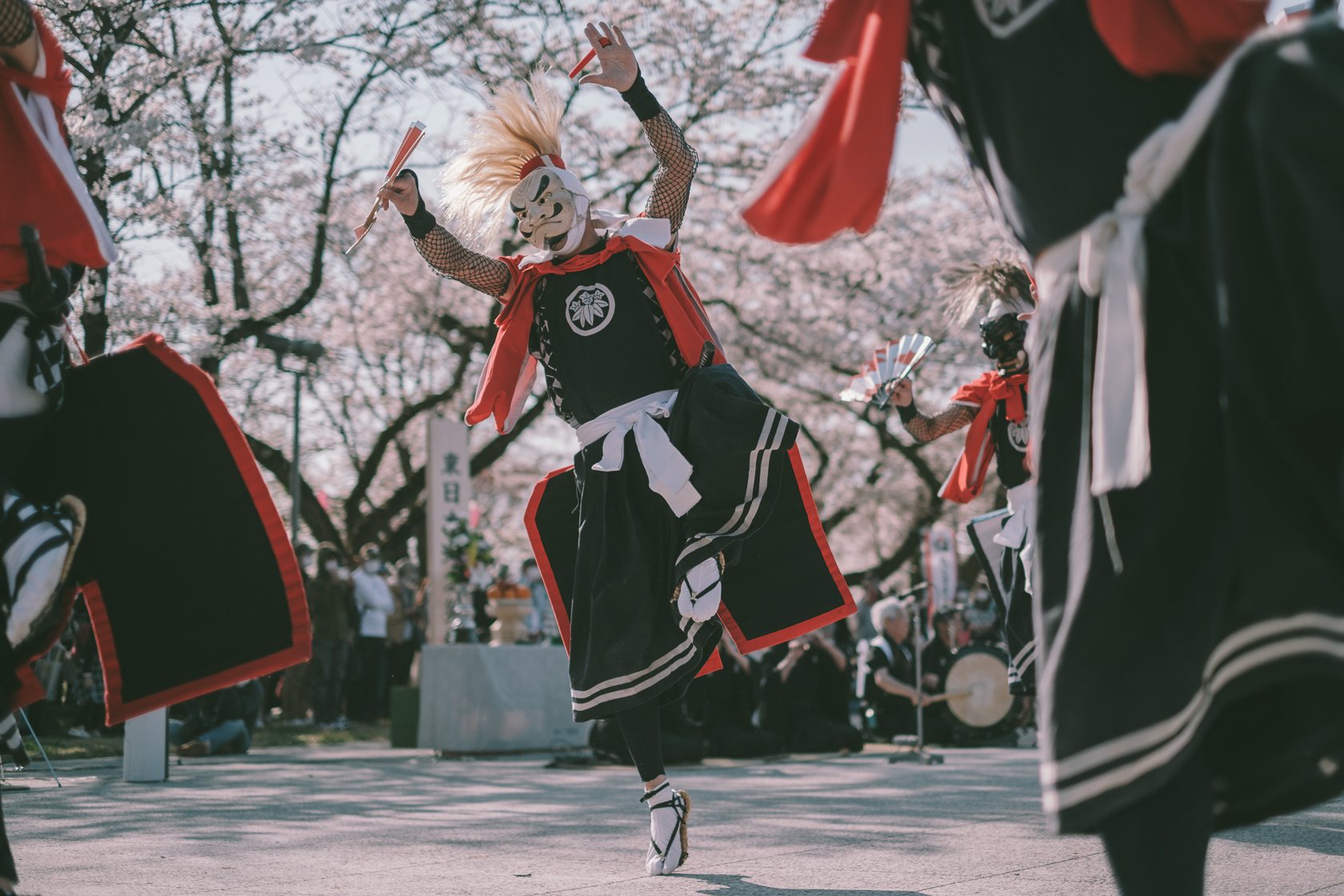 桜, 展勝地, 二子鬼剣舞 の写真